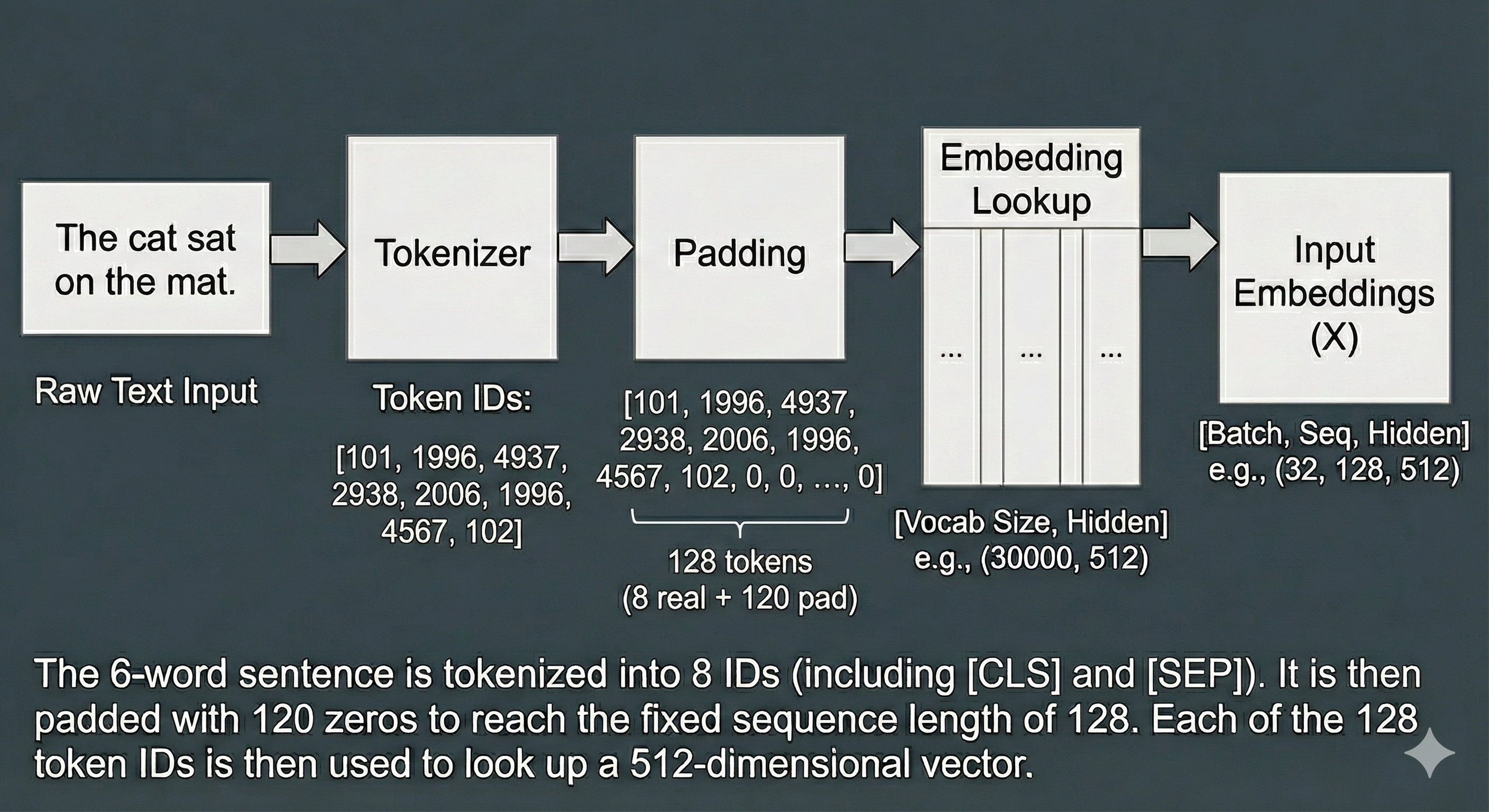 raw-input-to-embedding-input